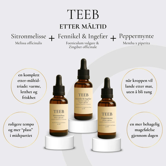 Etter Måltid (Trefold) - Best Valg