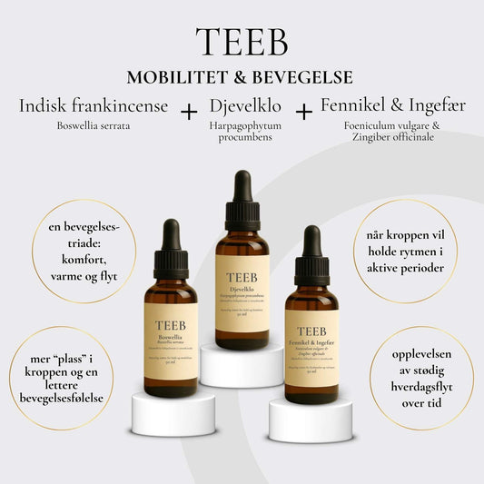 Mobilitet & Bevegelse (Trefold)